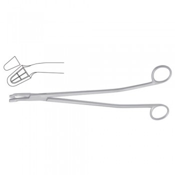 Van Doren Biopsy Forcep Stainless Steel, 25.5 cm - 10" Bite Size 4.9 mm